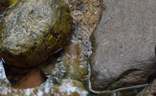9_Varniškių šaltinis foto G.Šukytė.jpg